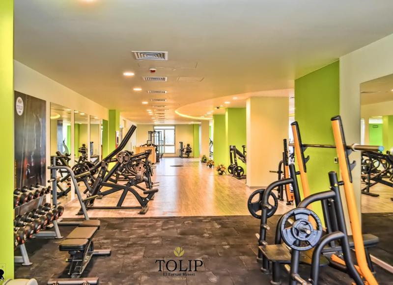 Tolip El Forsan Hotel Исмаилия Екстериор снимка The gym at Tulip Inn